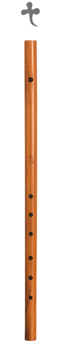 Renaissance flute store
